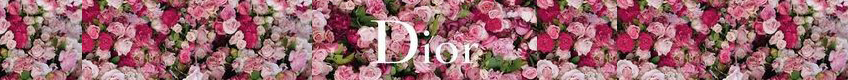 DIOR banner of category